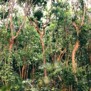 Meet your Posher, Meghan